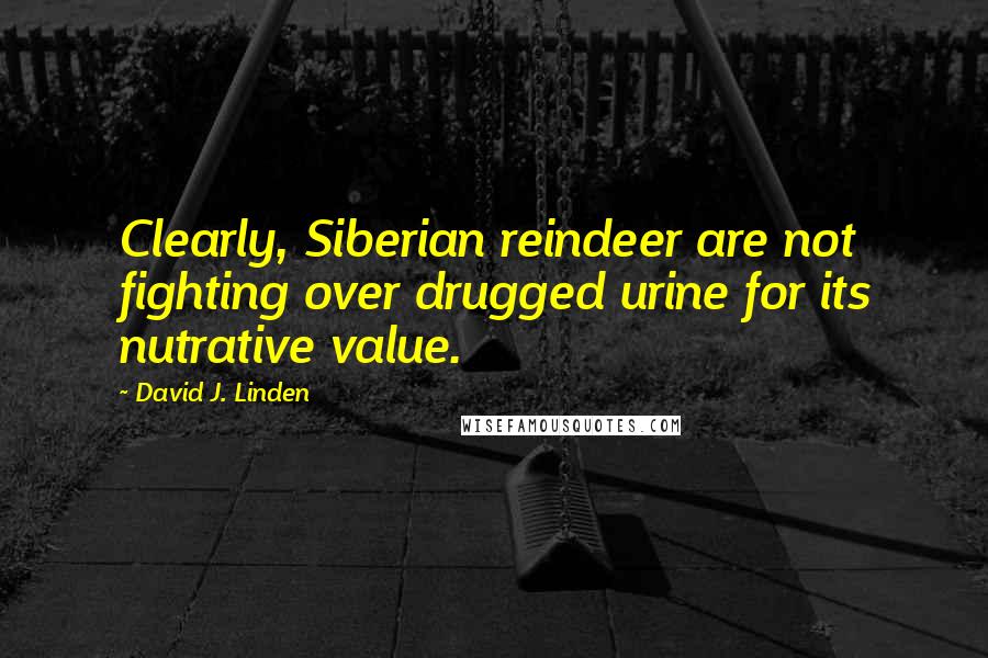 David J. Linden Quotes: Clearly, Siberian reindeer are not fighting over drugged urine for its nutrative value.