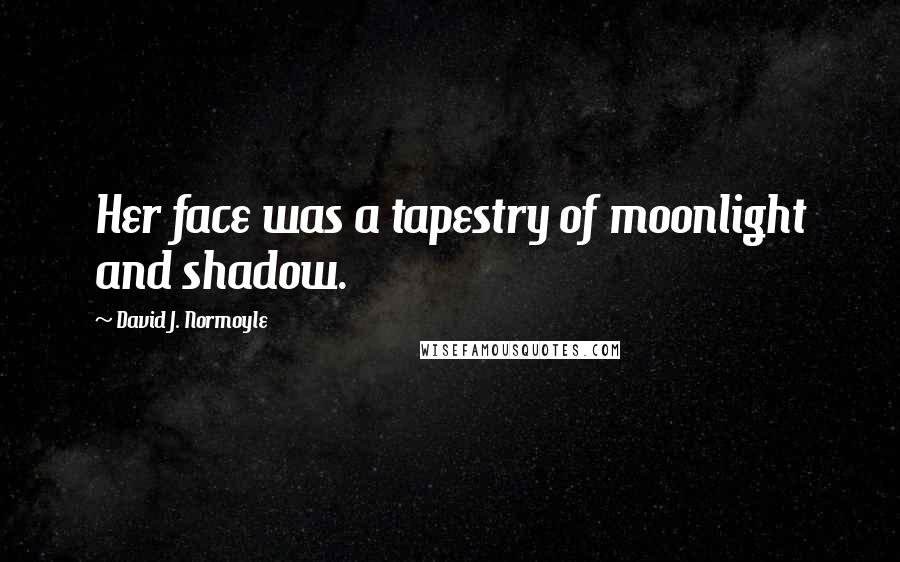 David J. Normoyle Quotes: Her face was a tapestry of moonlight and shadow.