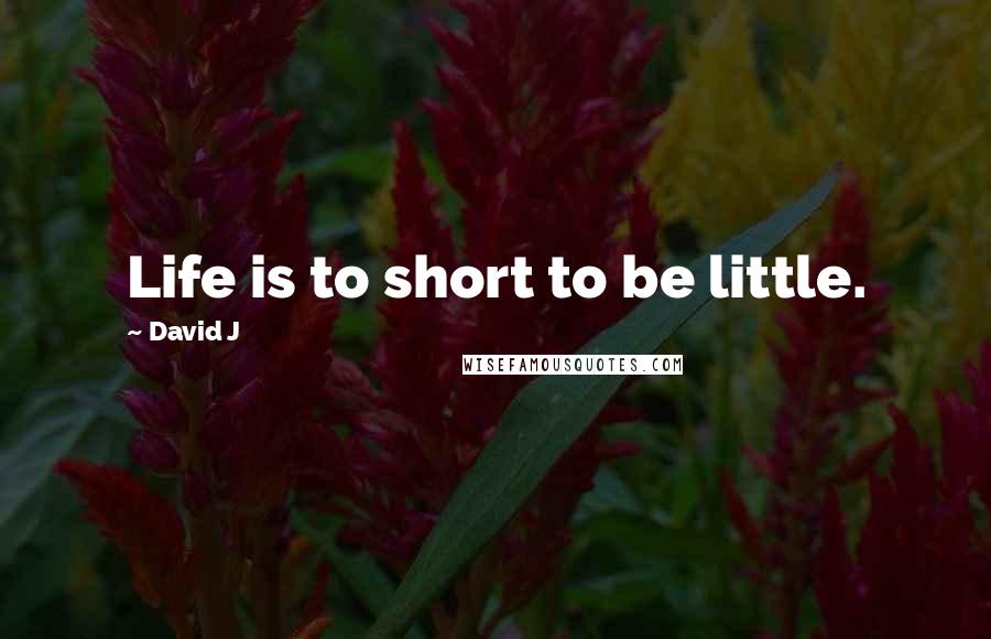 David J Quotes: Life is to short to be little.