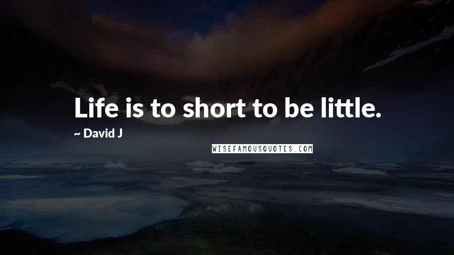 David J Quotes: Life is to short to be little.