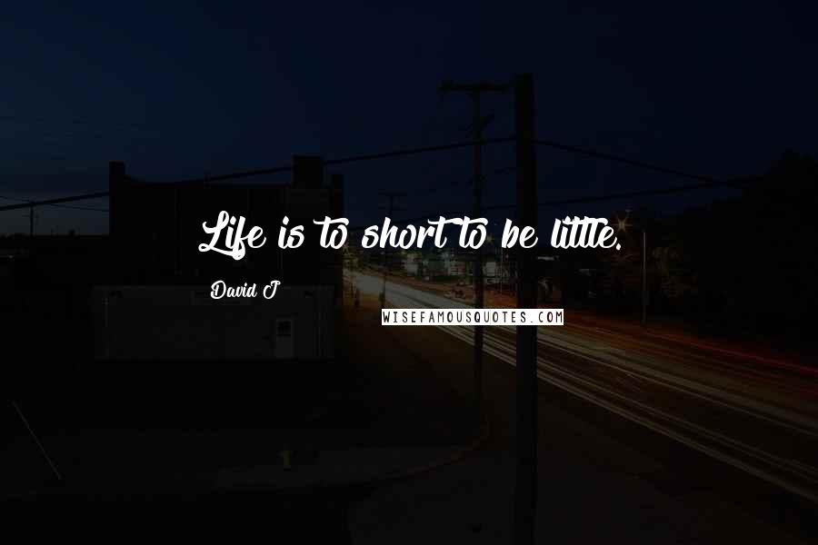 David J Quotes: Life is to short to be little.