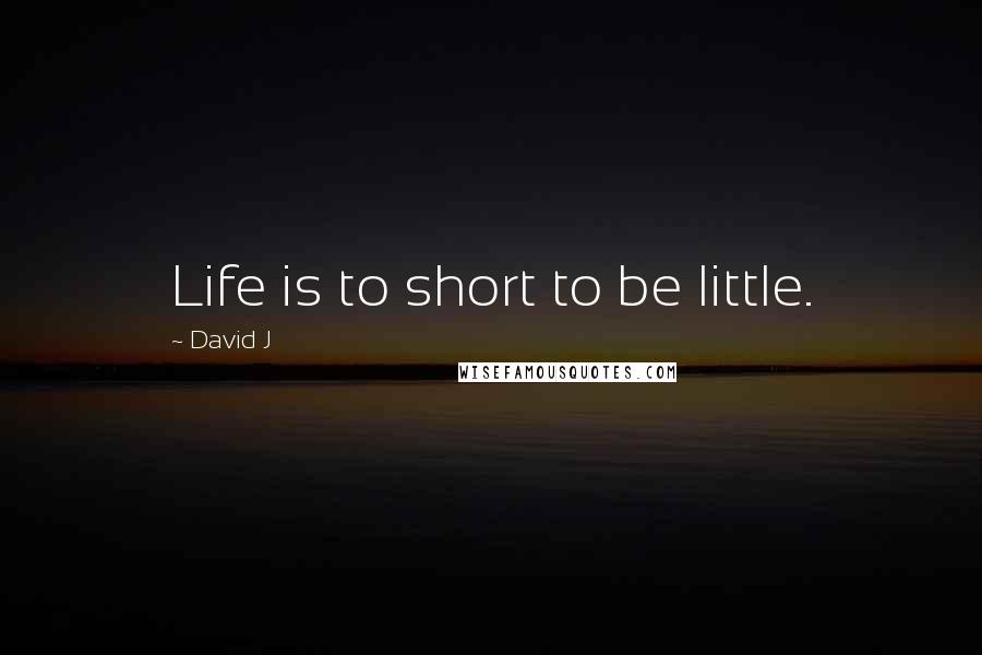 David J Quotes: Life is to short to be little.