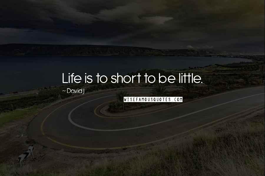 David J Quotes: Life is to short to be little.