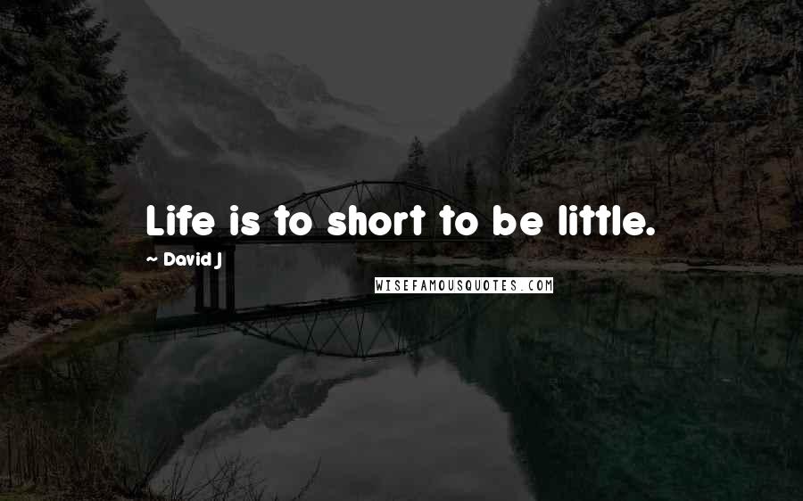 David J Quotes: Life is to short to be little.