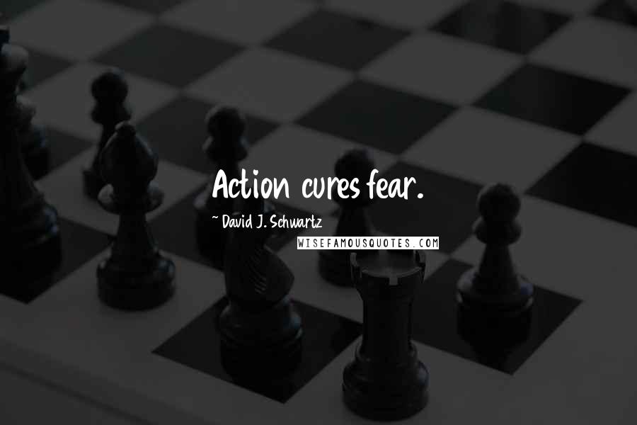 David J. Schwartz Quotes: Action cures fear.