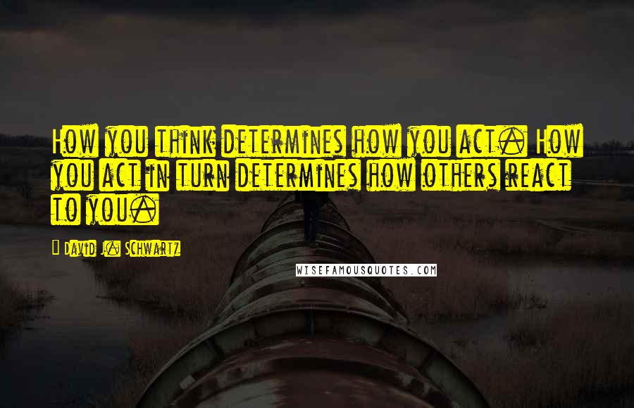 David J. Schwartz Quotes: How you think determines how you act. How you act in turn determines how others react to you.