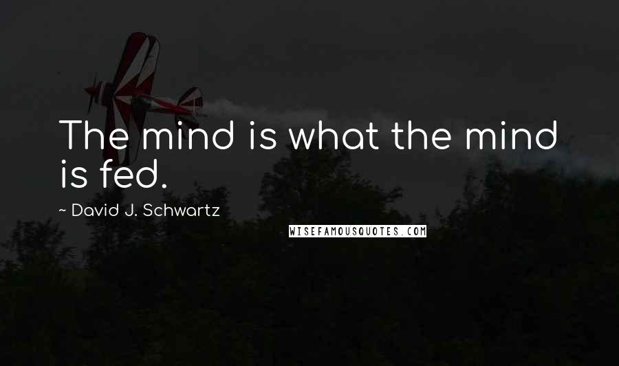 David J. Schwartz Quotes: The mind is what the mind is fed.