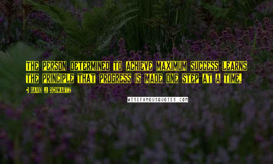 David J. Schwartz Quotes: The person determined to achieve maximum success learns the principle that progress is made one step at a time.