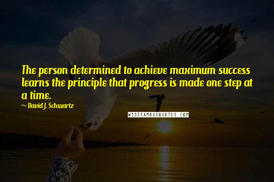 David J. Schwartz Quotes: The person determined to achieve maximum success learns the principle that progress is made one step at a time.