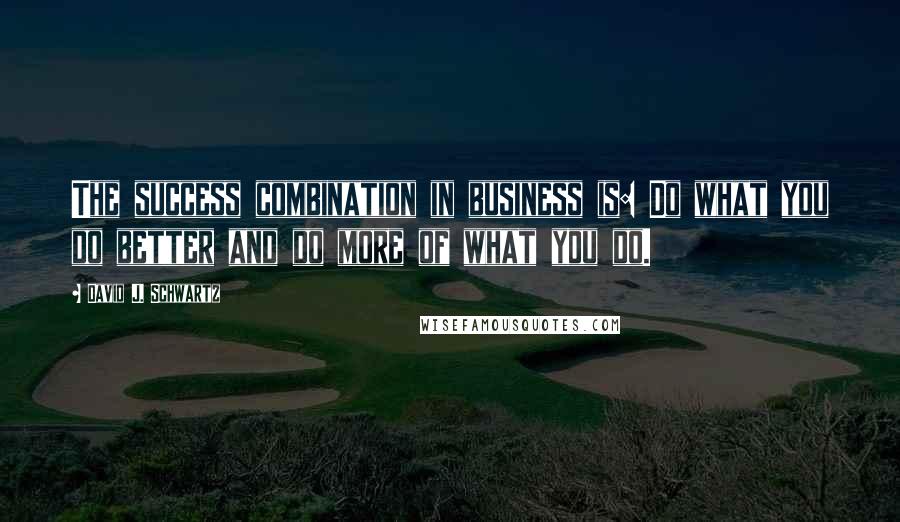 David J. Schwartz Quotes: The success combination in business is: Do what you do better and do more of what you do.