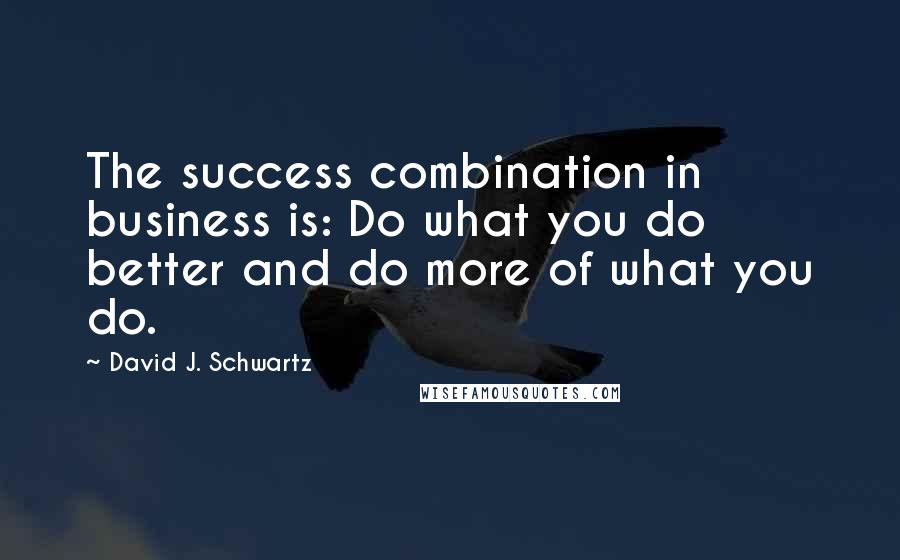 David J. Schwartz Quotes: The success combination in business is: Do what you do better and do more of what you do.