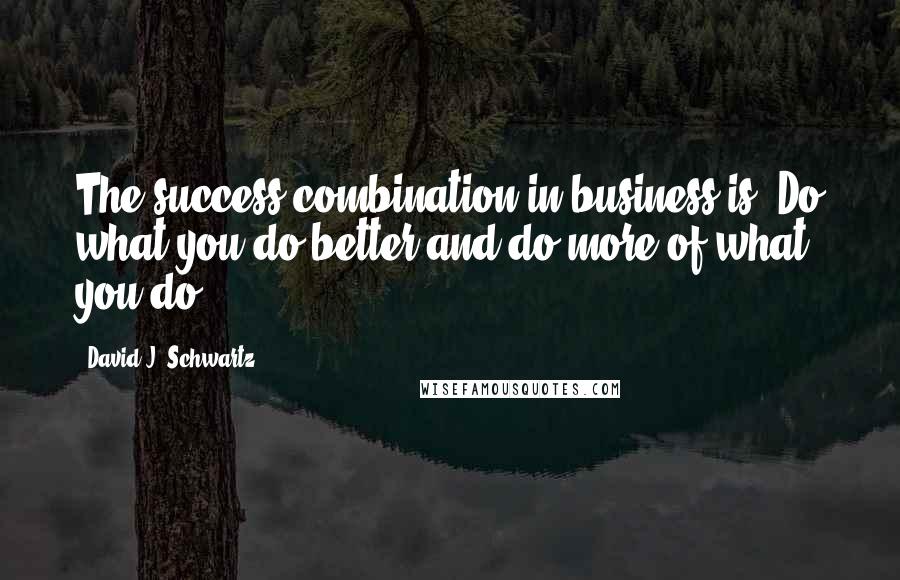 David J. Schwartz Quotes: The success combination in business is: Do what you do better and do more of what you do.