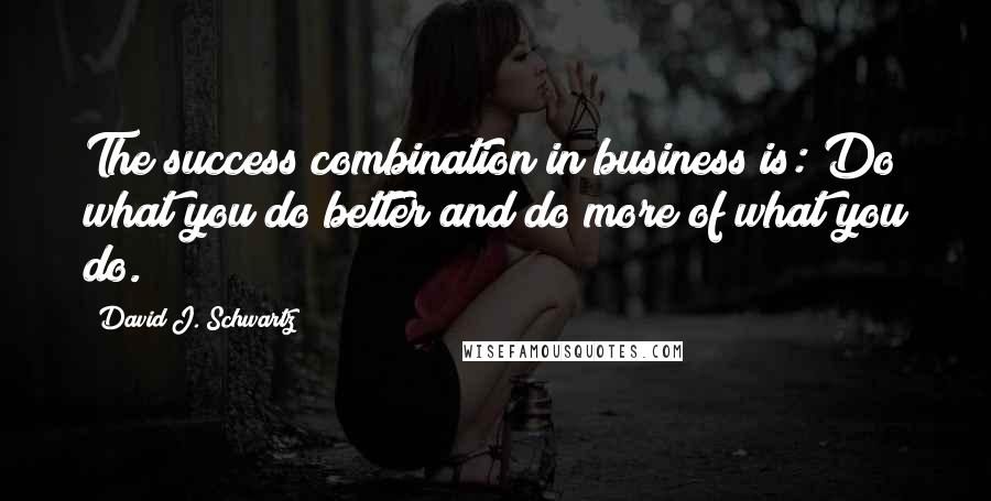 David J. Schwartz Quotes: The success combination in business is: Do what you do better and do more of what you do.