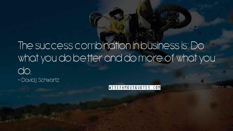 David J. Schwartz Quotes: The success combination in business is: Do what you do better and do more of what you do.