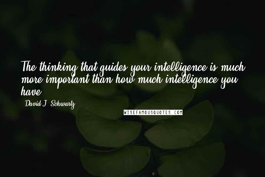 David J. Schwartz Quotes: The thinking that guides your intelligence is much more important than how much intelligence you have