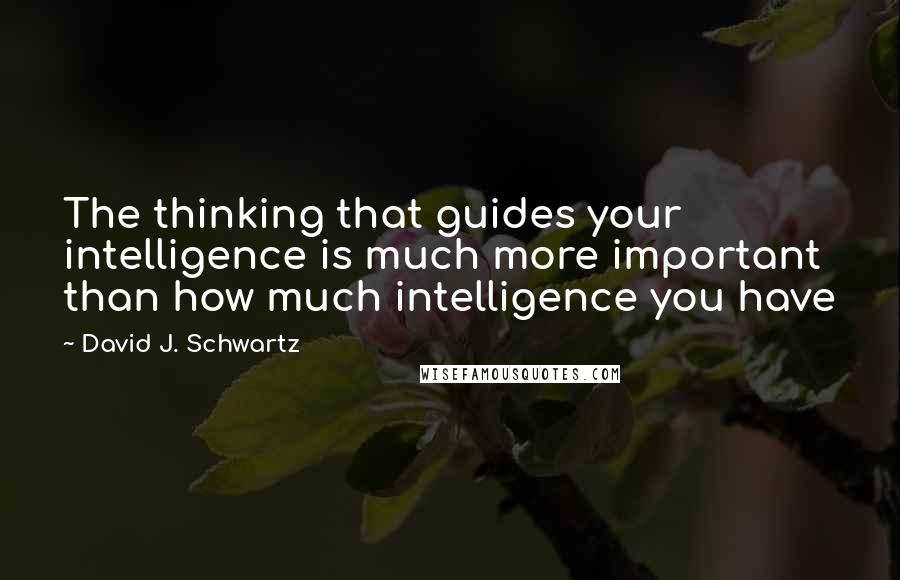 David J. Schwartz Quotes: The thinking that guides your intelligence is much more important than how much intelligence you have