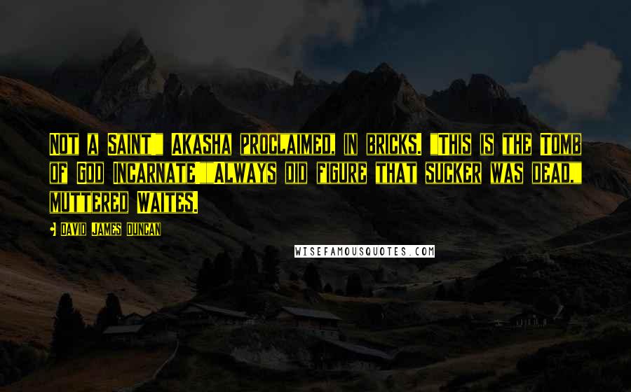 David James Duncan Quotes: Not a Saint!" Akasha proclaimed, in bricks. "This is the Tomb of God Incarnate!""Always did figure that sucker was dead," muttered Waites.