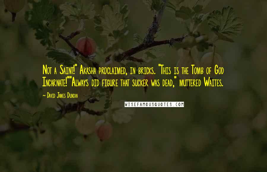 David James Duncan Quotes: Not a Saint!" Akasha proclaimed, in bricks. "This is the Tomb of God Incarnate!""Always did figure that sucker was dead," muttered Waites.
