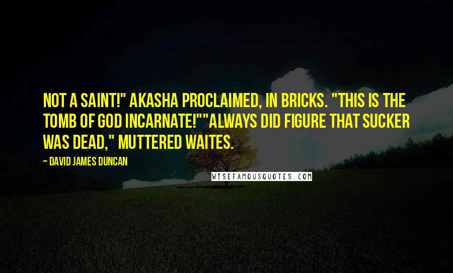David James Duncan Quotes: Not a Saint!" Akasha proclaimed, in bricks. "This is the Tomb of God Incarnate!""Always did figure that sucker was dead," muttered Waites.