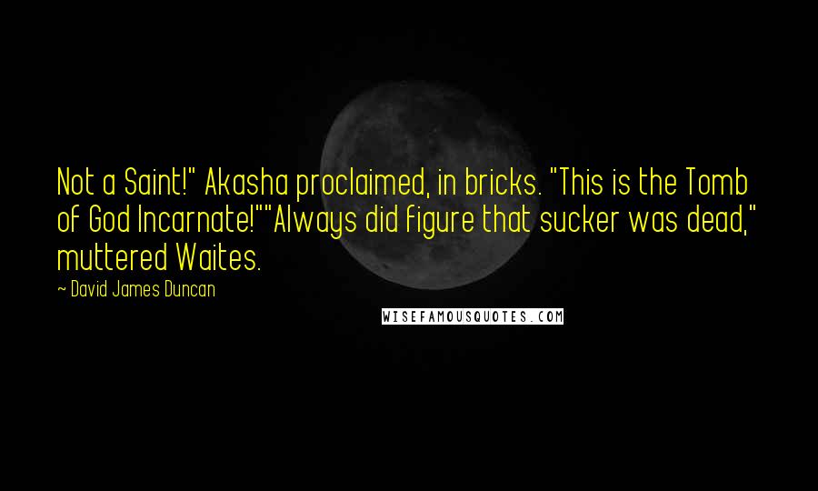 David James Duncan Quotes: Not a Saint!" Akasha proclaimed, in bricks. "This is the Tomb of God Incarnate!""Always did figure that sucker was dead," muttered Waites.