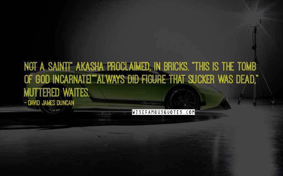 David James Duncan Quotes: Not a Saint!" Akasha proclaimed, in bricks. "This is the Tomb of God Incarnate!""Always did figure that sucker was dead," muttered Waites.