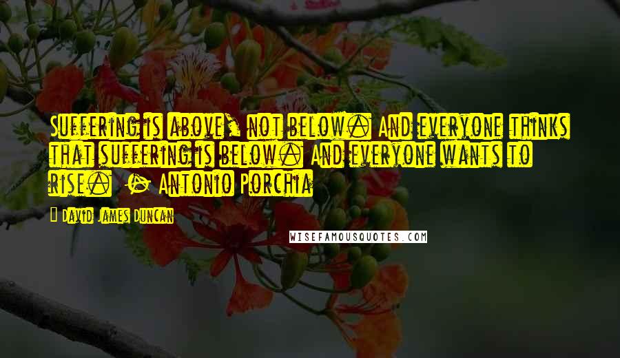 David James Duncan Quotes: Suffering is above, not below. And everyone thinks that suffering is below. And everyone wants to rise.  - Antonio Porchia