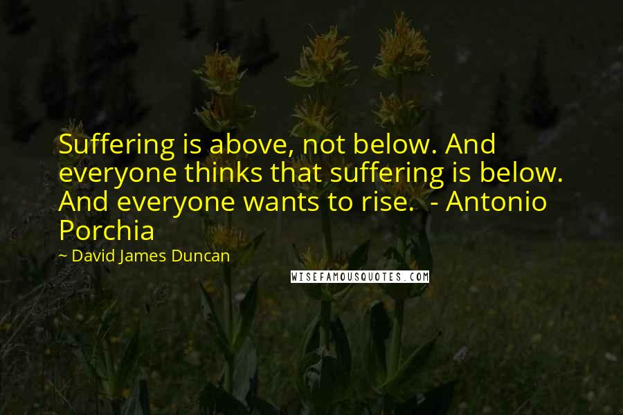 David James Duncan Quotes: Suffering is above, not below. And everyone thinks that suffering is below. And everyone wants to rise.  - Antonio Porchia