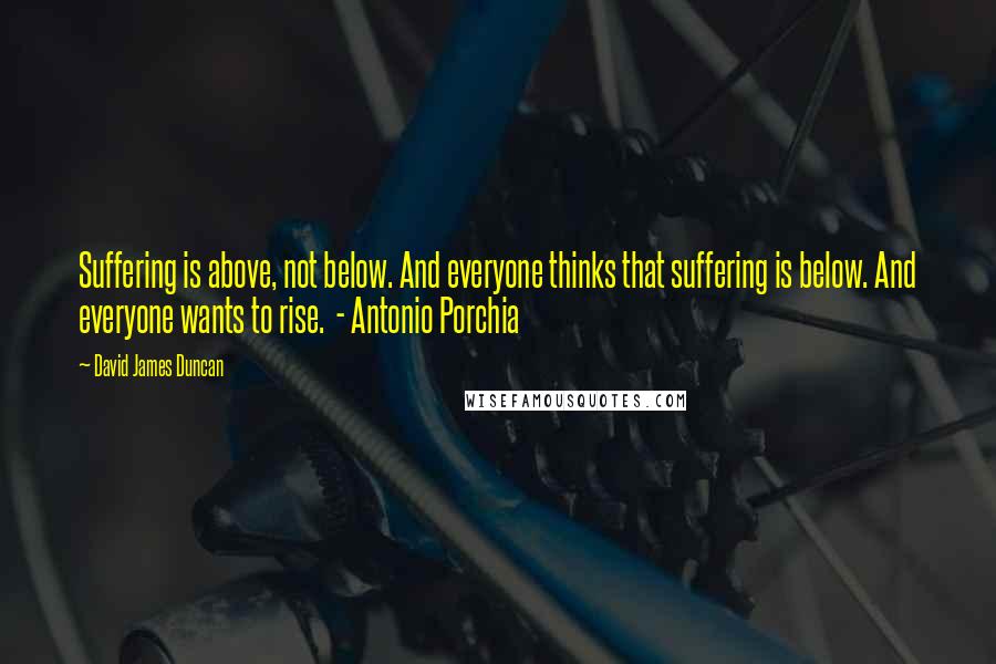 David James Duncan Quotes: Suffering is above, not below. And everyone thinks that suffering is below. And everyone wants to rise.  - Antonio Porchia