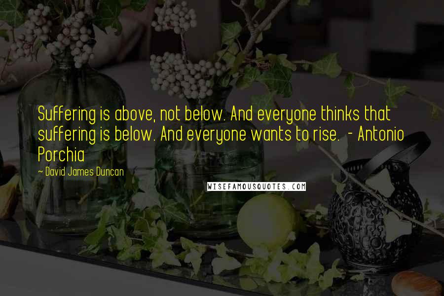 David James Duncan Quotes: Suffering is above, not below. And everyone thinks that suffering is below. And everyone wants to rise.  - Antonio Porchia