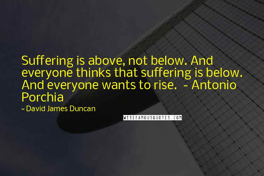 David James Duncan Quotes: Suffering is above, not below. And everyone thinks that suffering is below. And everyone wants to rise.  - Antonio Porchia