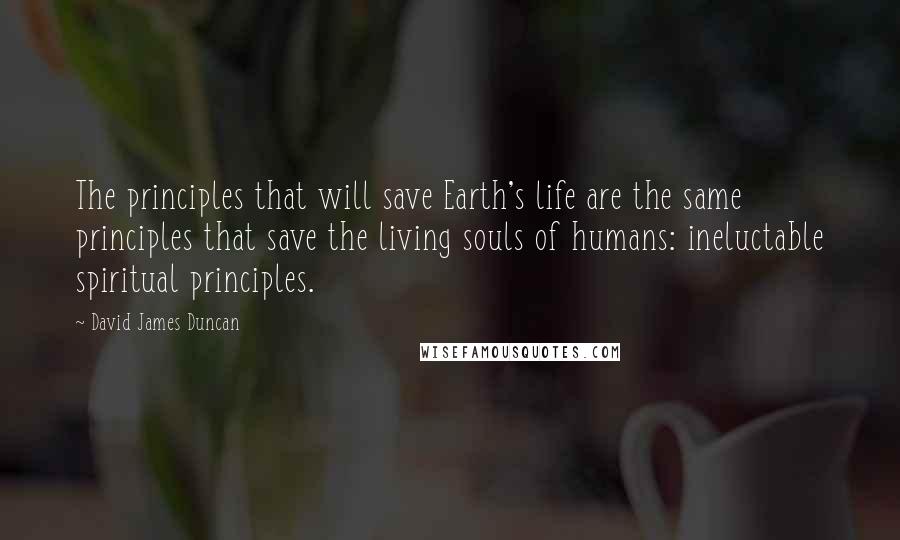 David James Duncan Quotes: The principles that will save Earth's life are the same principles that save the living souls of humans: ineluctable spiritual principles.