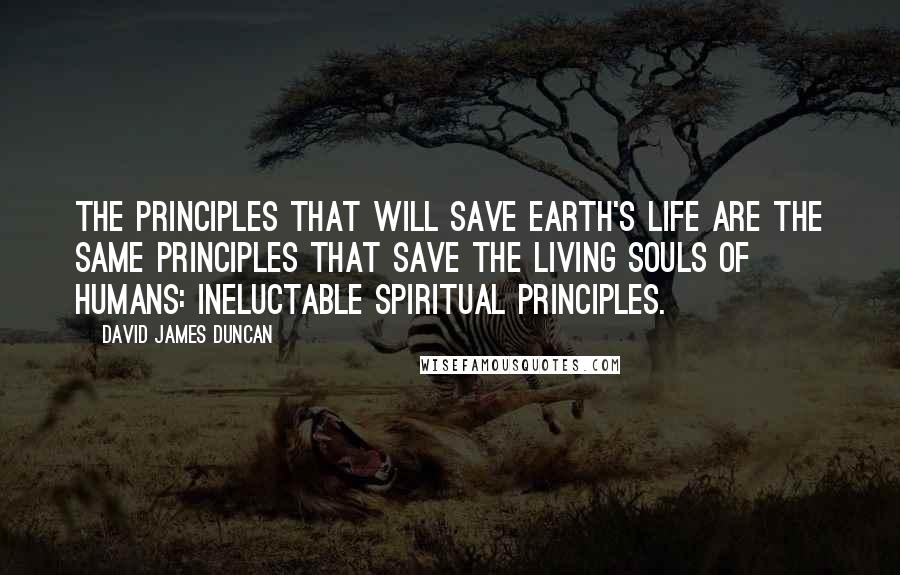 David James Duncan Quotes: The principles that will save Earth's life are the same principles that save the living souls of humans: ineluctable spiritual principles.