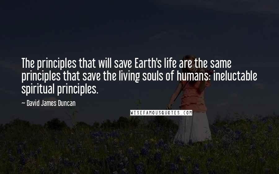 David James Duncan Quotes: The principles that will save Earth's life are the same principles that save the living souls of humans: ineluctable spiritual principles.