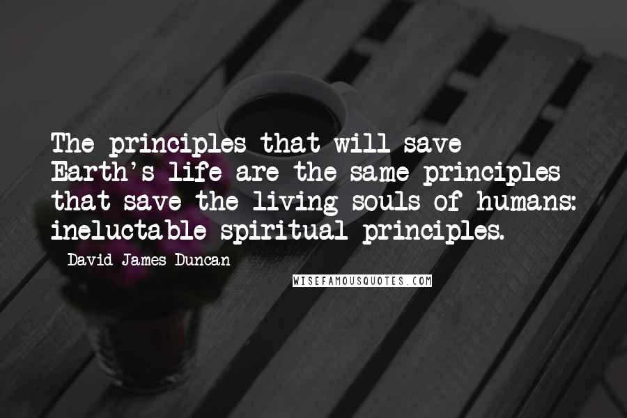 David James Duncan Quotes: The principles that will save Earth's life are the same principles that save the living souls of humans: ineluctable spiritual principles.