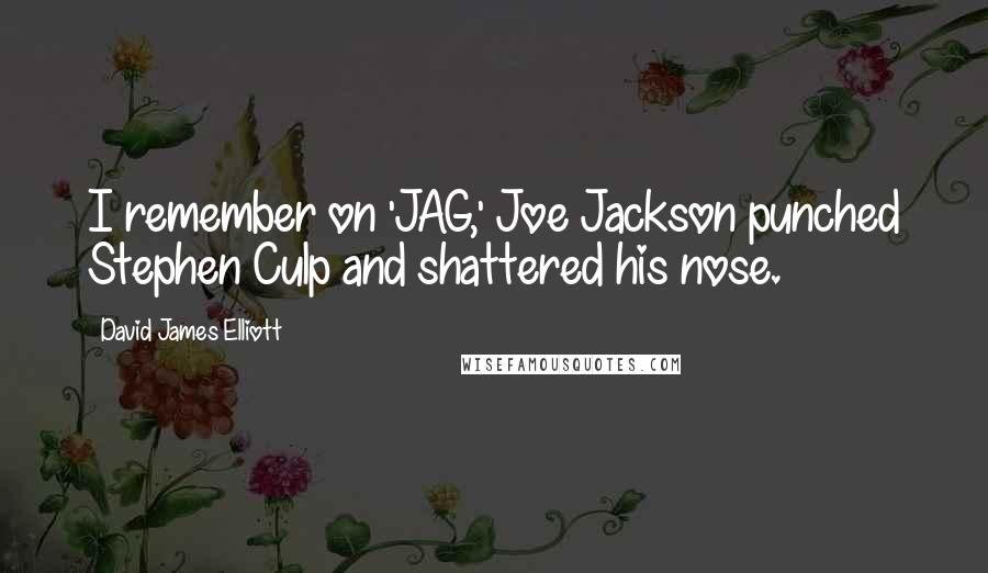 David James Elliott Quotes: I remember on 'JAG,' Joe Jackson punched Stephen Culp and shattered his nose.