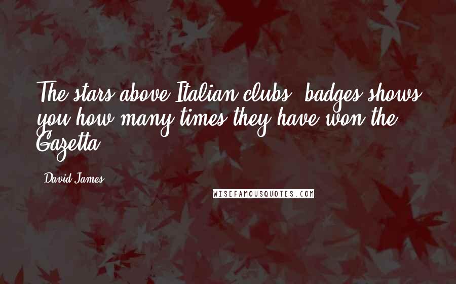 David James Quotes: The stars above Italian clubs' badges shows you how many times they have won the Gazetta.