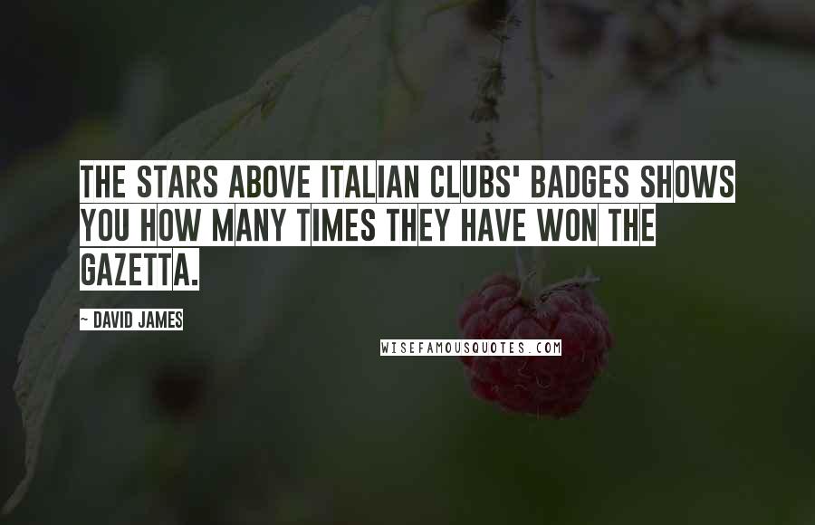 David James Quotes: The stars above Italian clubs' badges shows you how many times they have won the Gazetta.