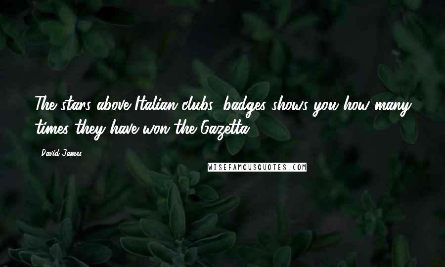 David James Quotes: The stars above Italian clubs' badges shows you how many times they have won the Gazetta.