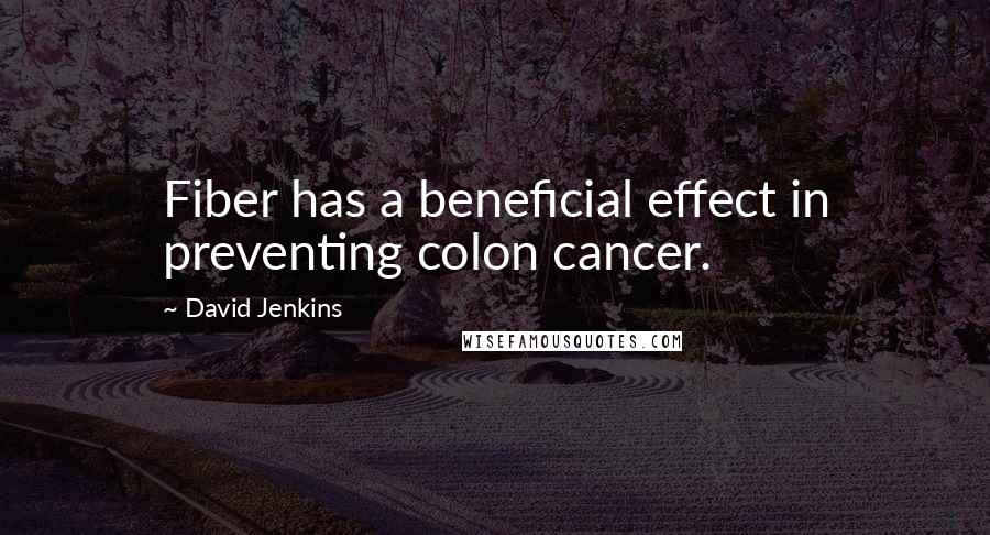 David Jenkins Quotes: Fiber has a beneficial effect in preventing colon cancer.