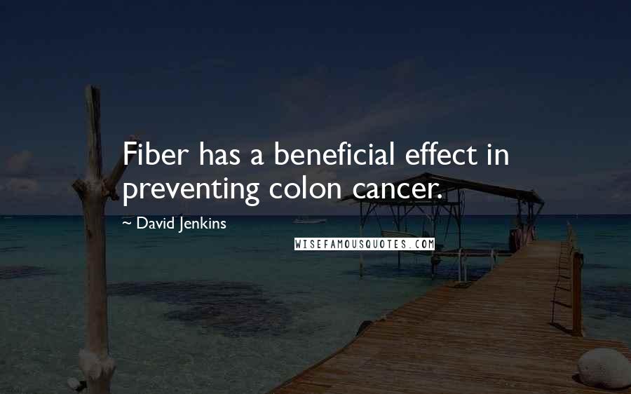 David Jenkins Quotes: Fiber has a beneficial effect in preventing colon cancer.