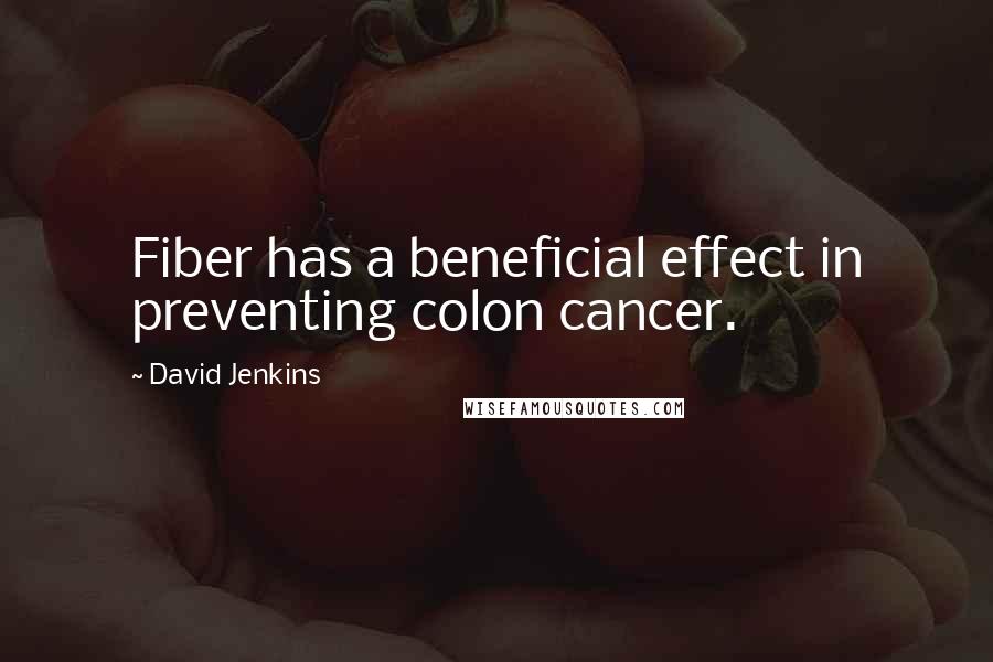 David Jenkins Quotes: Fiber has a beneficial effect in preventing colon cancer.