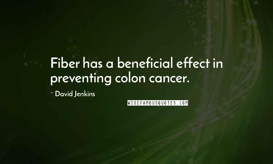 David Jenkins Quotes: Fiber has a beneficial effect in preventing colon cancer.