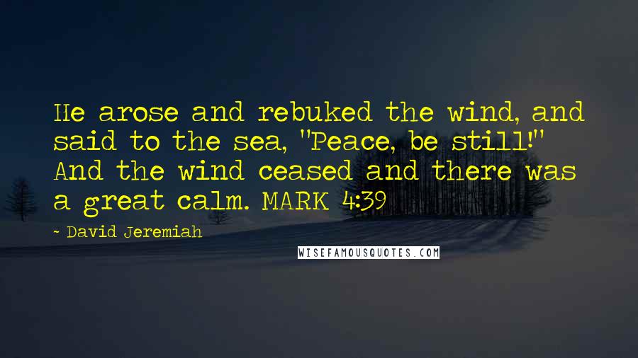 David Jeremiah Quotes: He arose and rebuked the wind, and said to the sea, "Peace, be still!" And the wind ceased and there was a great calm. MARK 4:39
