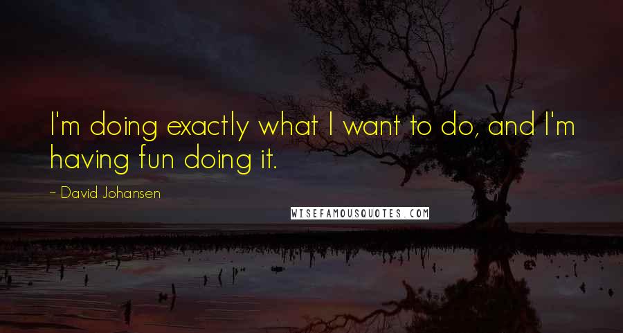 David Johansen Quotes: I'm doing exactly what I want to do, and I'm having fun doing it.
