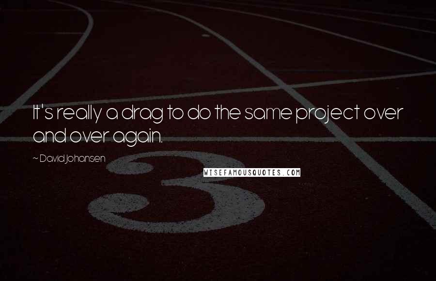 David Johansen Quotes: It's really a drag to do the same project over and over again.
