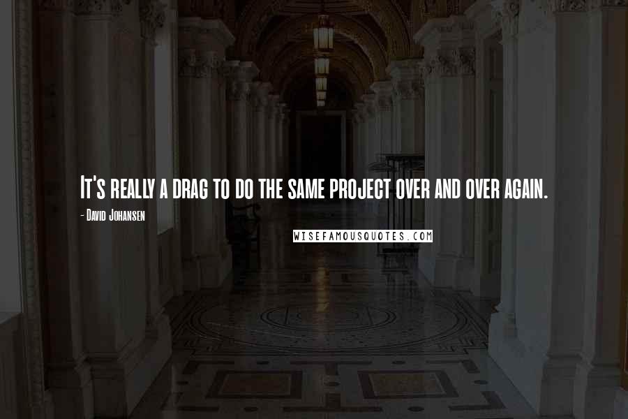 David Johansen Quotes: It's really a drag to do the same project over and over again.