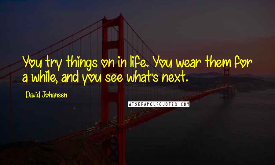 David Johansen Quotes: You try things on in life. You wear them for a while, and you see what's next.