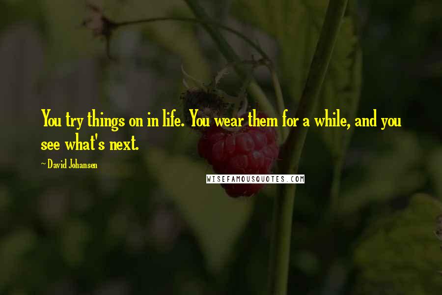 David Johansen Quotes: You try things on in life. You wear them for a while, and you see what's next.