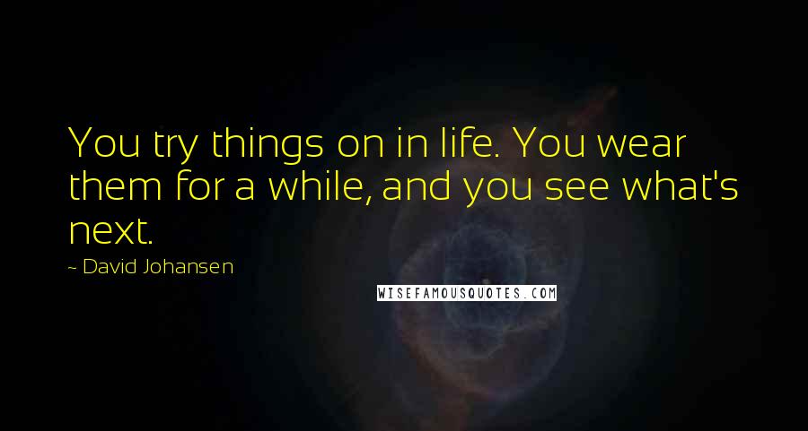 David Johansen Quotes: You try things on in life. You wear them for a while, and you see what's next.