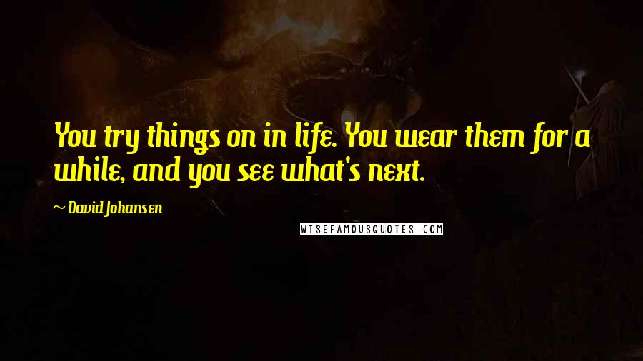 David Johansen Quotes: You try things on in life. You wear them for a while, and you see what's next.